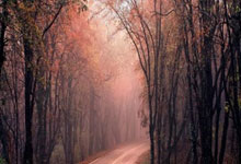 諾伊爾在韓媒采訪中表示:有金玟哉在場,我非常穩定和安心.