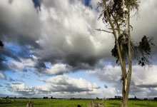 2022卡塔爾世界杯亞洲區預選賽賽程表.