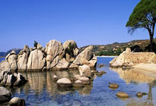 [NBA]末节崩盘 热火不敌篮网.